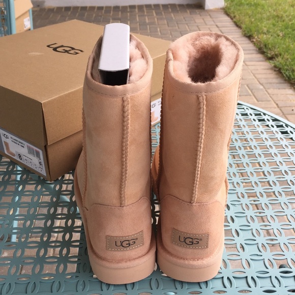 amberlight ugg